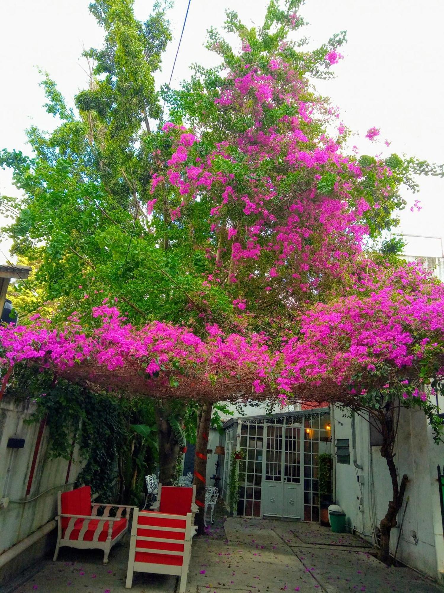 Hotel Boutique Casablanca Адроге Экстерьер фото